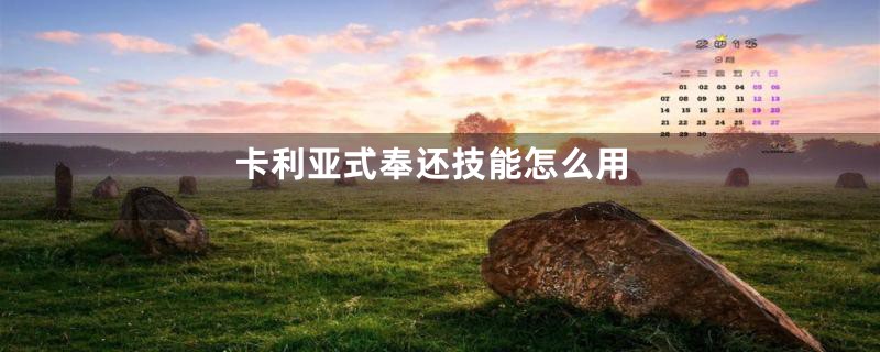 卡利亚式奉还技能怎么用