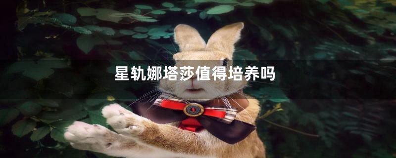 星轨娜塔莎值得培养吗