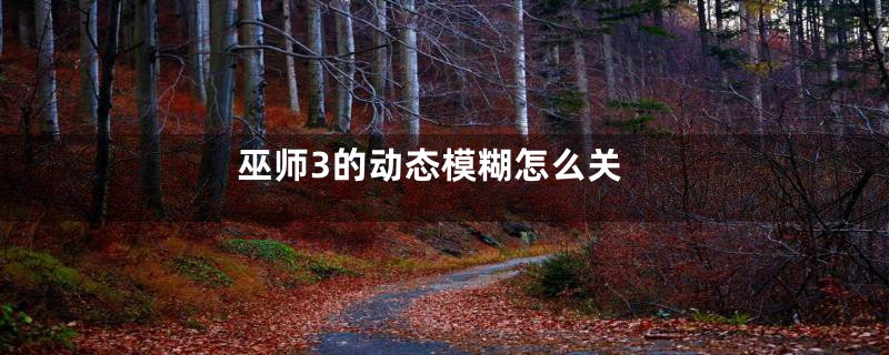 巫师3的动态模糊怎么关