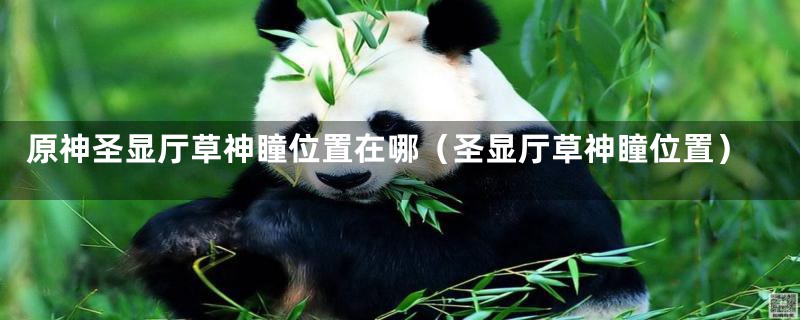 原神圣显厅草神瞳位置在哪(圣显厅草神瞳位置)