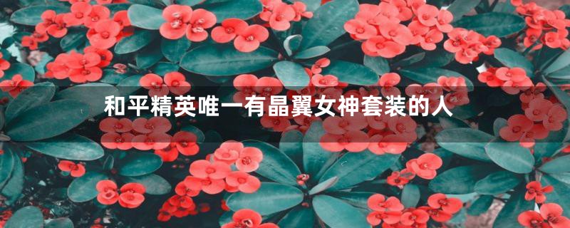和平精英唯一有晶翼女神套装的人
