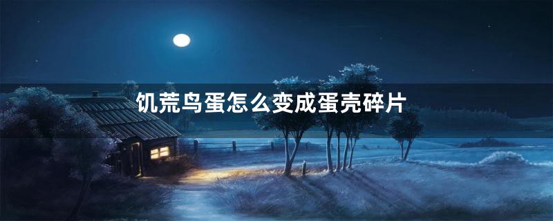 饥荒鸟蛋怎么变成蛋壳碎片