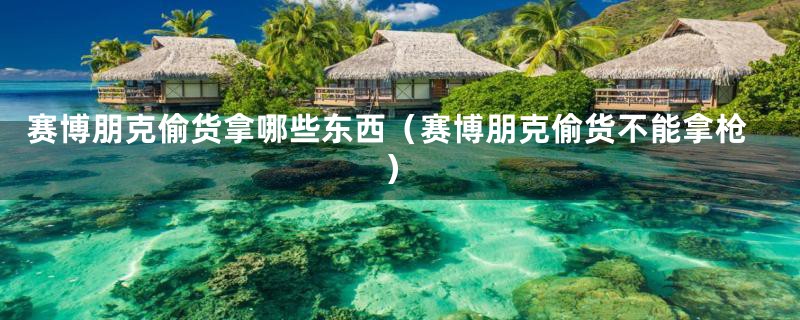 赛博朋克偷货拿哪些东西(赛博朋克偷货不能拿枪)