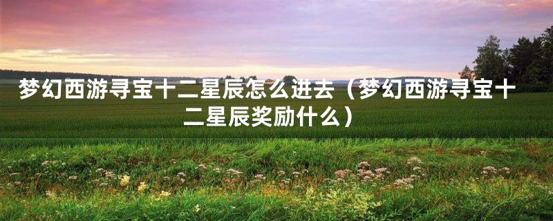 梦幻西游寻宝十二星辰怎么进去(梦幻西游寻宝十二星辰奖励什么)