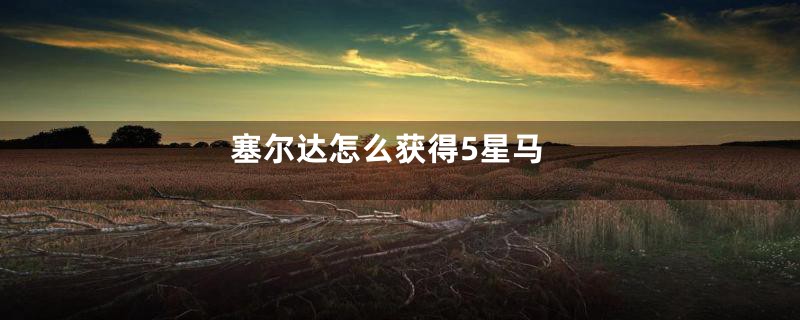 塞尔达怎么获得5星马