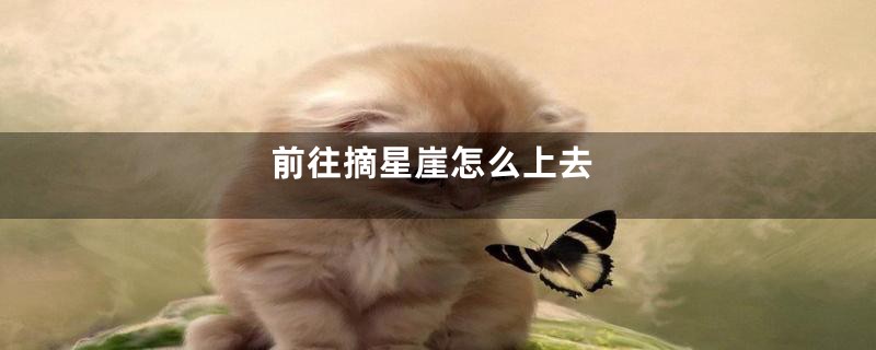 前往摘星崖怎么上去
