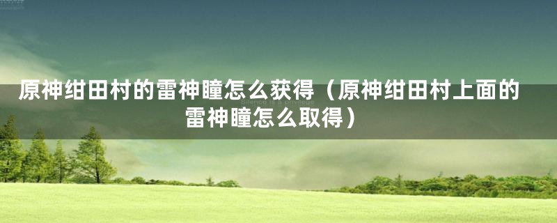 原神绀田村的雷神瞳怎么获得(原神绀田村上面的雷神瞳怎么取得)