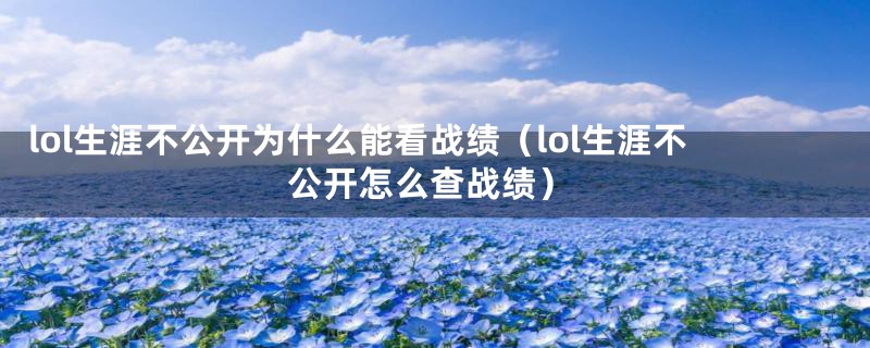 lol生涯不公开为什么能看战绩(lol生涯不公开怎么查战绩)