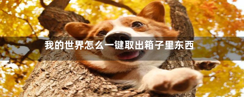 我的世界怎么一键取出箱子里东西