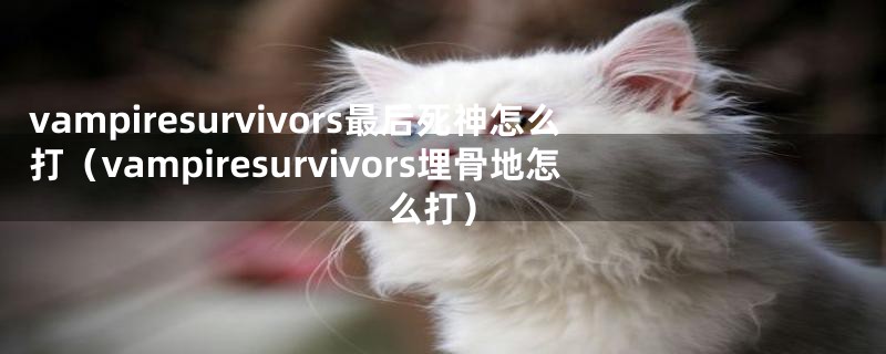 vampiresurvivors最后死神怎么打(vampiresurvivors埋骨地怎么打)