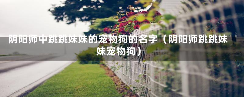 阴阳师中跳跳妹妹的宠物狗的名字（阴阳师跳跳妹妹宠物狗）