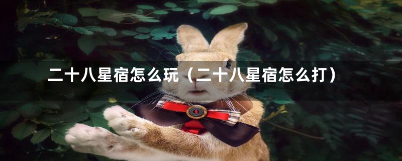 二十八星宿怎么玩(二十八星宿怎么打)