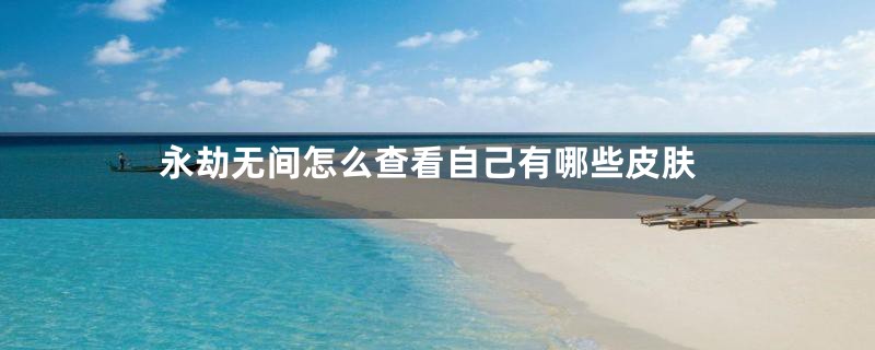 永劫无间怎么查看自己有哪些皮肤