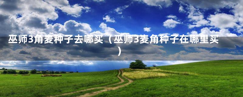 巫师3角麦种子去哪买（巫师3麦角种子在哪里买）