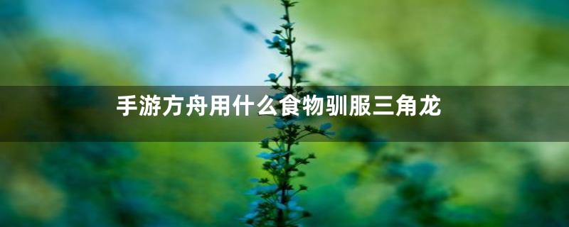 手游方舟用什么食物驯服三角龙