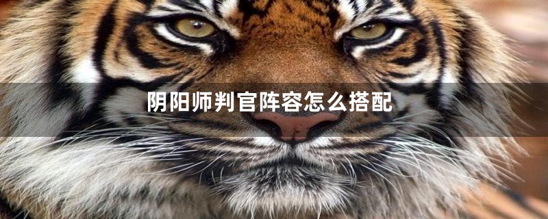 阴阳师判官阵容怎么搭配
