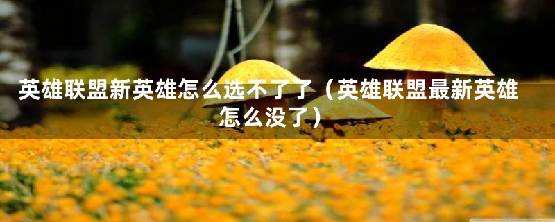 英雄联盟新英雄怎么选不了了（英雄联盟最新英雄怎么没了）