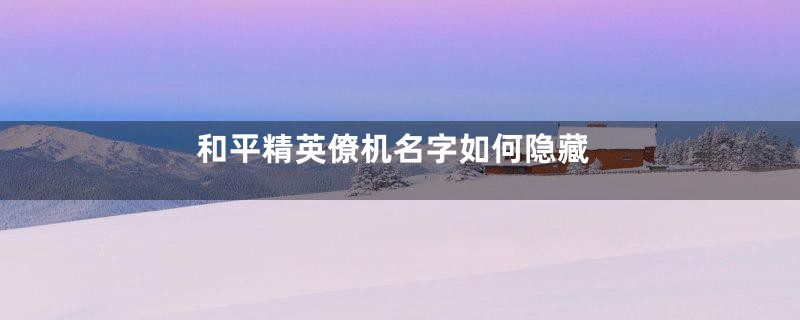 和平精英僚机名字如何隐藏