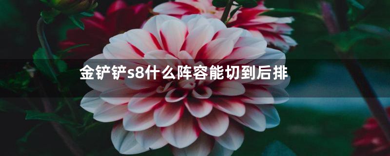 金铲铲s8什么阵容能切到后排