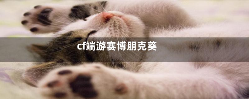 cf端游赛博朋克葵