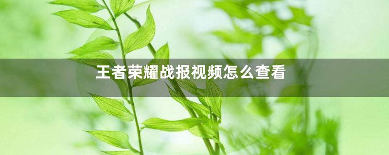 王者荣耀战报视频怎么查看