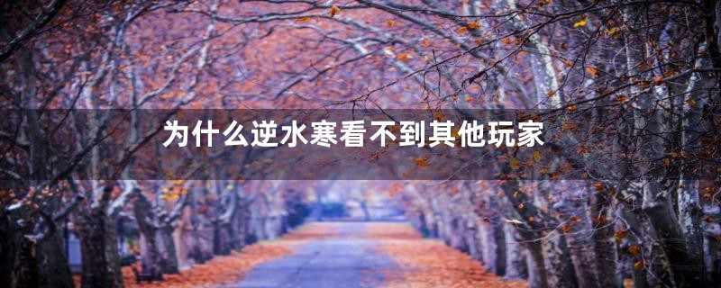为什么逆水寒看不到其他玩家