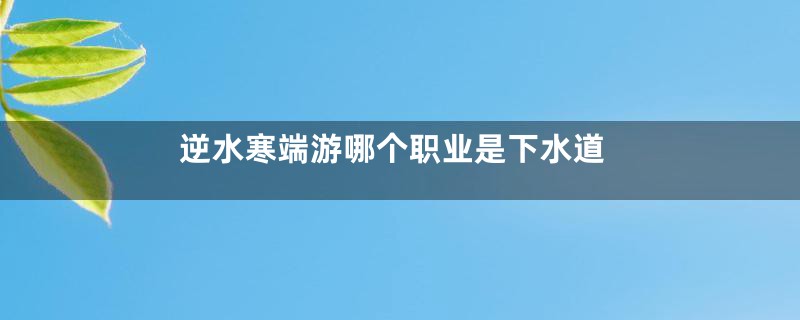 逆水寒端游哪个职业是下水道