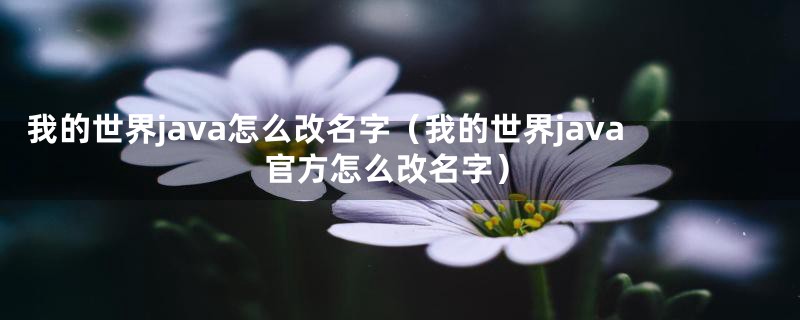 我的世界java怎么改名字（我的世界java官方怎么改名字）