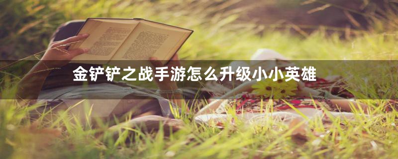 金铲铲之战手游怎么升级小小英雄