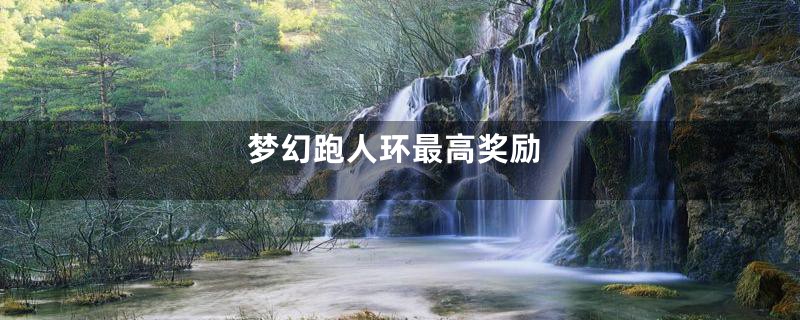 梦幻跑人环最高奖励