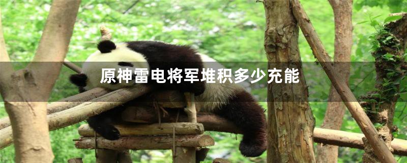 原神雷电将军堆积多少充能