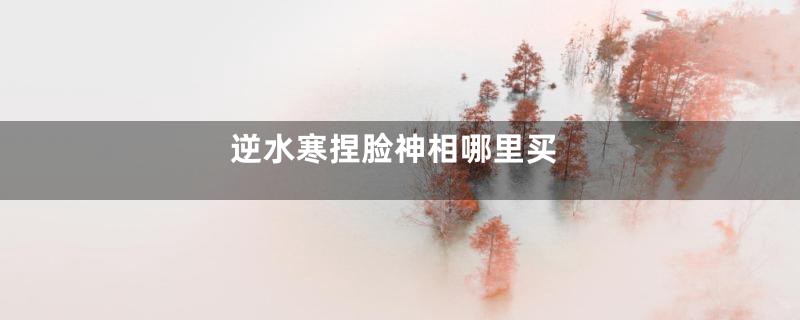 逆水寒捏脸神相哪里买