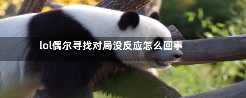 lol偶尔寻找对局没反应怎么回事