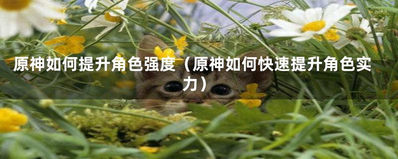 原神如何提升角色强度（原神如何快速提升角色实力）