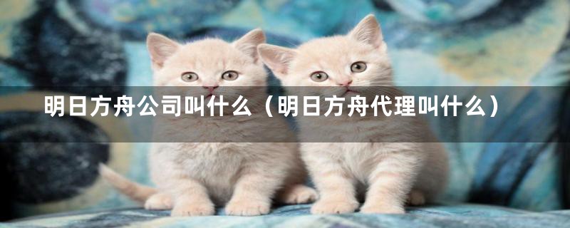 明日方舟公司叫什么（明日方舟代理叫什么）