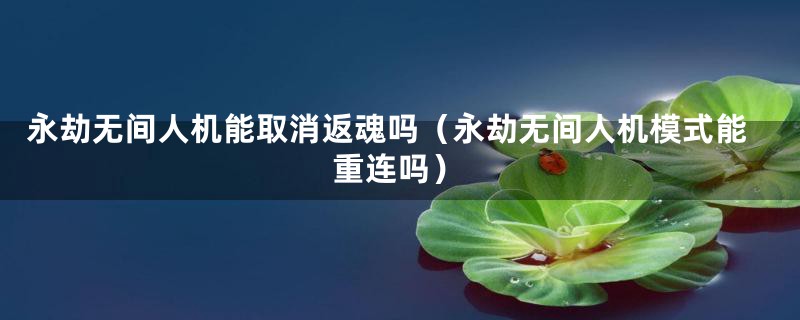 永劫无间人机能取消返魂吗(永劫无间人机模式能重连吗)