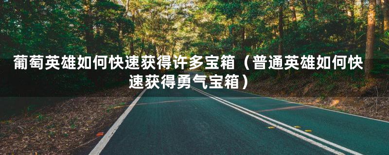 葡萄英雄如何快速获得许多宝箱(普通英雄如何快速获得勇气宝箱)