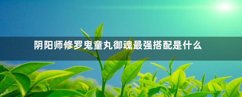 阴阳师修罗鬼童丸御魂最强搭配是什么