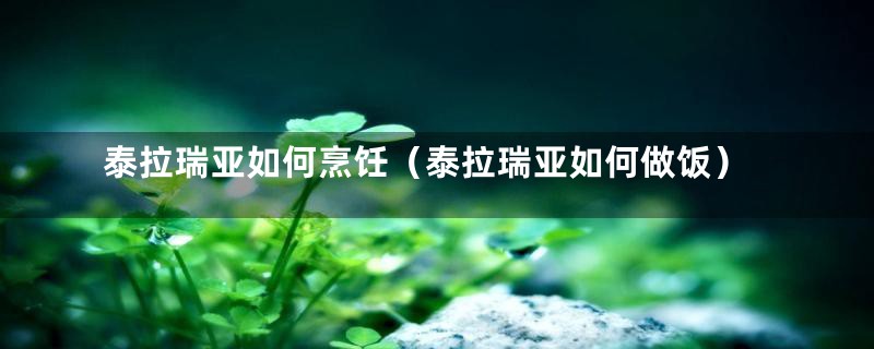 泰拉瑞亚如何烹饪(泰拉瑞亚如何做饭)