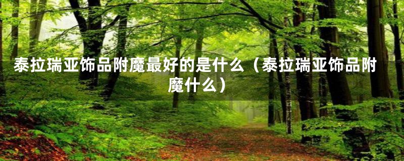 泰拉瑞亚饰品附魔最好的是什么（泰拉瑞亚饰品附魔什么）