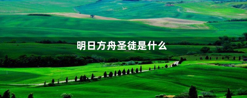 明日方舟圣徒是什么