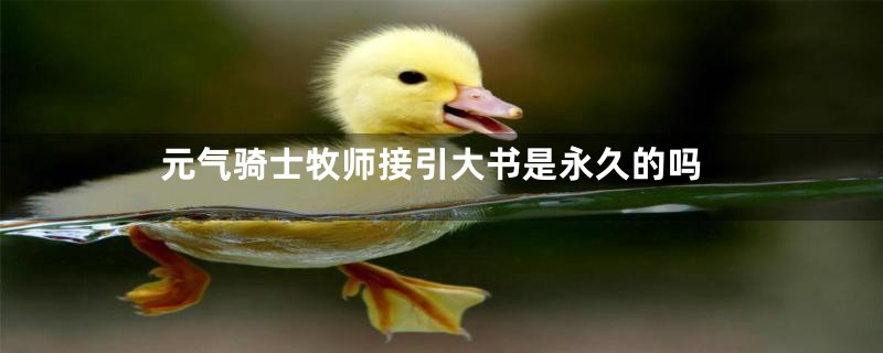 元气骑士牧师接引大书是永久的吗