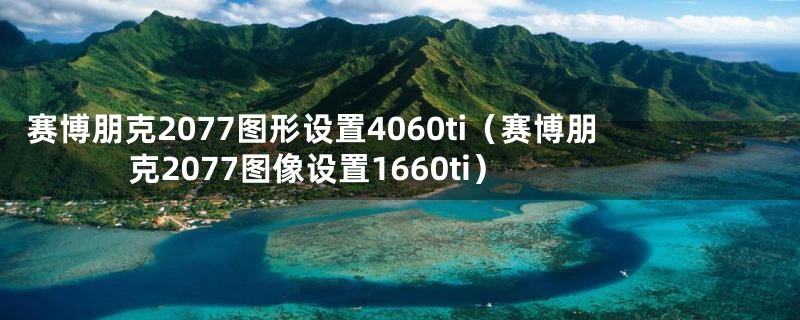 赛博朋克2077图形设置4060ti(赛博朋克2077图像设置1660ti)