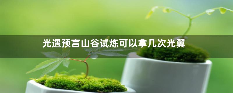 光遇预言山谷试炼可以拿几次光翼