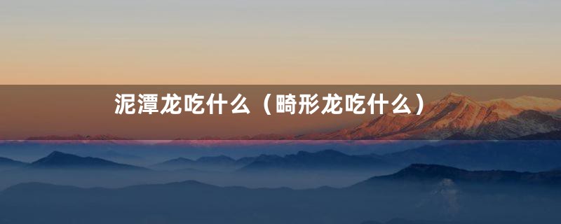 泥潭龙吃什么(畸形龙吃什么)