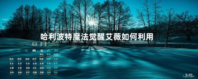 哈利波特魔法觉醒艾薇如何利用
