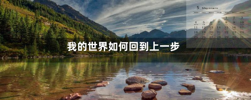我的世界如何回到上一步