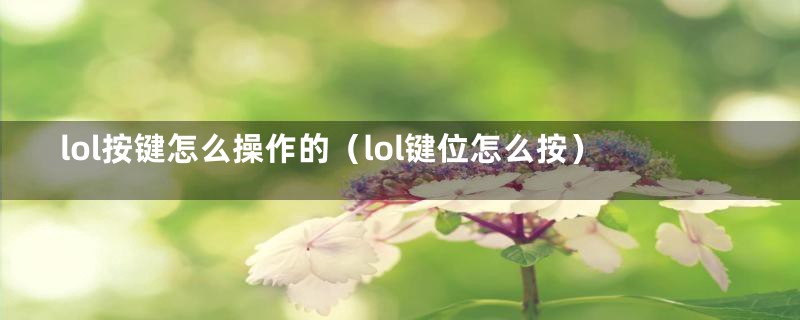 lol按键怎么操作的（lol键位怎么按）