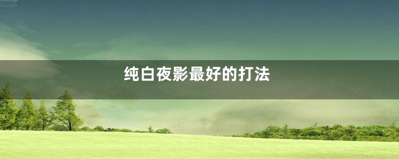纯白夜影最好的打法