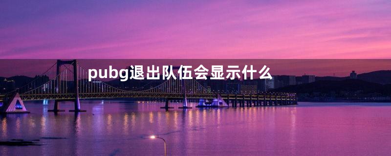 pubg退出队伍会显示什么